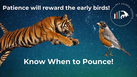 PATIENCE IS KEY! KNOW WHEN TO POUNCE! #BTC #ETH #cryptocurrency