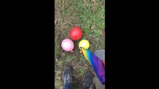 Water balloons POPPED!!