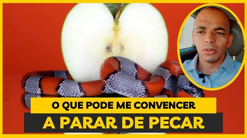 👿🔥 ISSO NÃO CONVENCE NINGUÉM A DEIXAR O PECADO❗