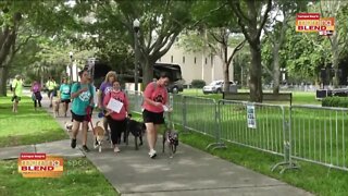 SPCA Tampa Bay | Morning Blend