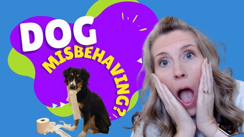 Dog Misbehaving? Here's Why...