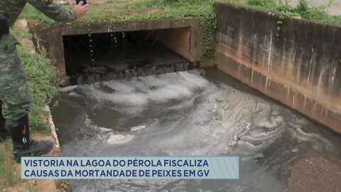 Vistoria na Lagoa do Pérola fiscaliza causas da mortandade de peixes em Gov. Valadares