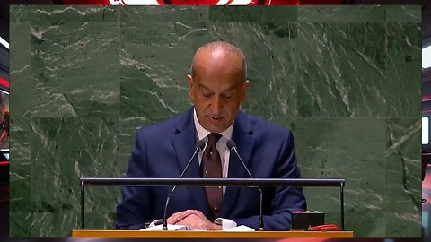 A representative for Egypt addresses the General Assembly emergency session on Gaza