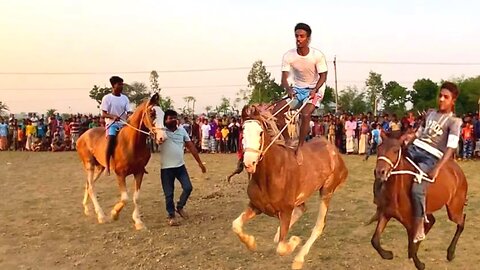 King Khan of Bengal Tasmina's younger brother rode across the field on horseback, winning the heart