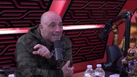 A Conversation With AI Joe Rogan