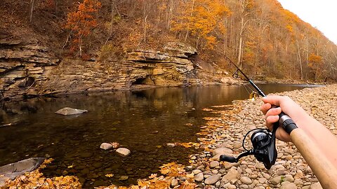 Catching BIG Rainbow Trout with Spinners!! (Fall Trout Fishing)