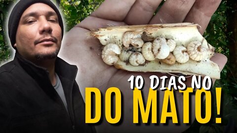 COMO FOI PASSAR 10 DIAS NO MATO - CURSO COBRA CRIADA