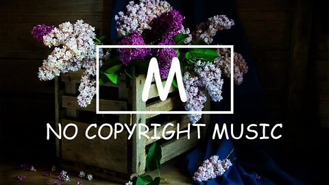 Fredji ft. Arcade - Ocean（Mm No Copyright Music）