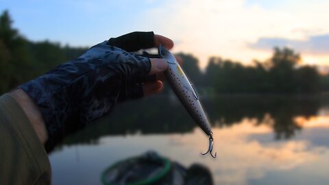 Summer Bass Fishing