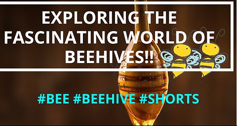 Exploring the Fascinating World of Beehives by finance guruji #bee #beehive #shorts #short #youtube