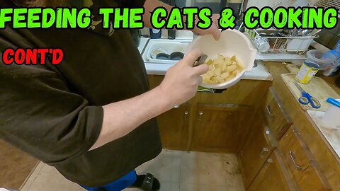 Feeding The Cats And Cooking cont'd