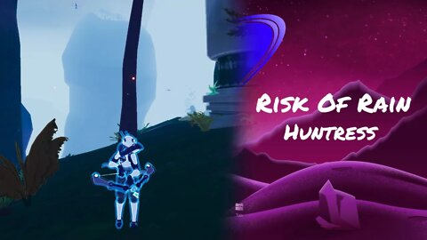 Huntress Died and Respawned With More Power - Risk Of Rain 2 - Stream Video