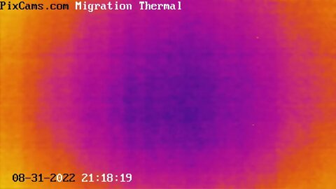 Fall Night Bird Migration - 8/31/2022 @ 21:14 Thirteen Birds in Six Minutes