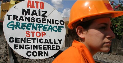 Mexico Has Banned GMO's