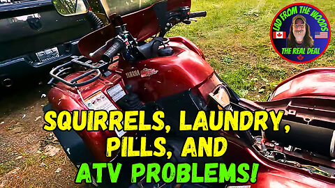 July 20th, 2023 | The Lads Vlog | Squirrels, Laundry, Pills, And ATV Problems!