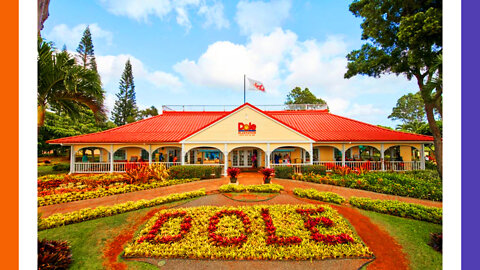 Why Dole's Plantation Didn't Get Any Rain For Decades