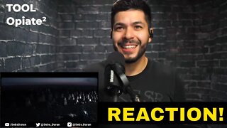 TOOL Opiate² clip (Reaction!)