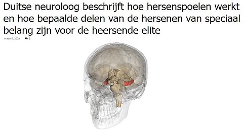 Duitse neuroloog beschrijft hoe hersenspoelen werkt.