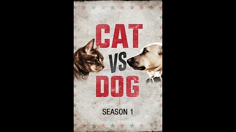 Cat Vs Dog fights - angry cat vs dog funny compilation #viral #animals