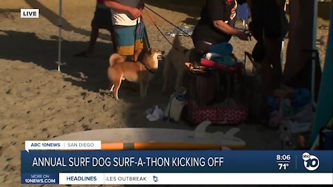 Annual Surf Dog Surf-a-Thon kicks off today