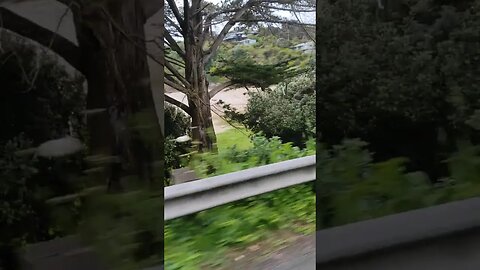 Waiheke Island commute. Book link in description.(2)