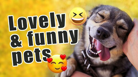 Funny Pets Video Compilation 2023 -2024