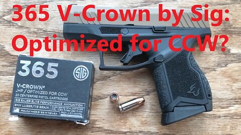 115 grain 9mm Taurus GX4 Short Barrel Ballistic Test #2: Sig V-Crown 365