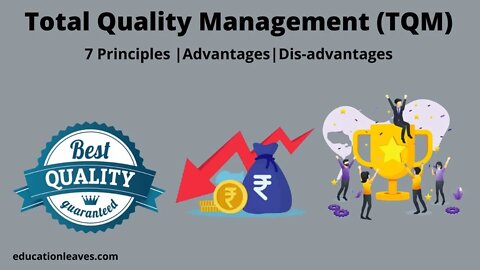 What is Total Quality management (TQM)? | 7 Principles of Total Quality Management