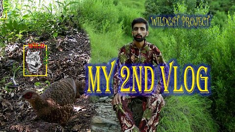 My 2nd wildlife vlog | Wild cat Project #trailcamvideos #vlog #wildvlogs