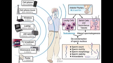 Electromagnetic Radiation Poisoning