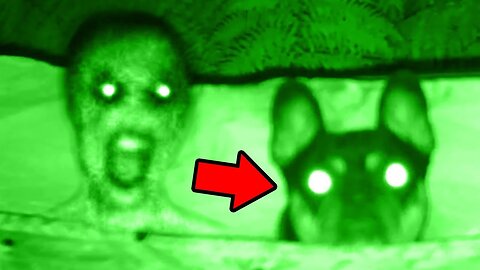 Top 5 SCARY Ghost Videos : Prepare to Be TERRIFIED