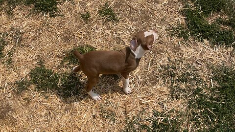 rocky road update