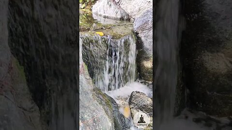 Relaxing Garden Rock Waterfall Soothing Sounds of Water and Piano Music Short