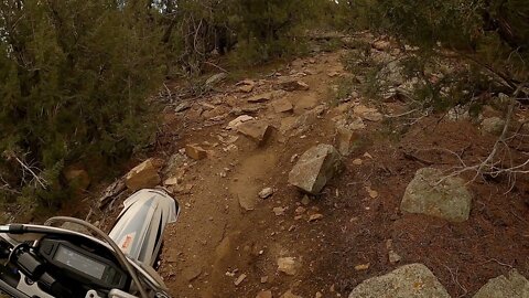 Shindig Singletrack with @This Mountain Life