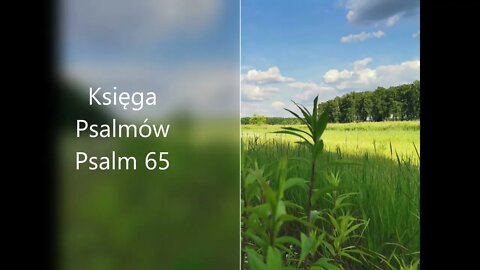 Księga Psalmów - Psalm 65