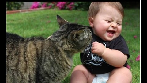 Funny Babies Laughing Hysterically at Cats Compilation (2022)