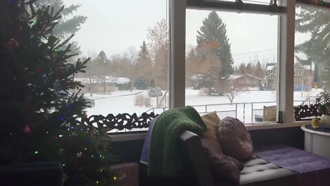 TAROT BY JANINE SHARES A SNOWY CHRISTMAS 🎄 SCENE AND UPDATES YOU! 🇨🇦