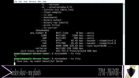 TPM - PK6WBJ - RTTY example for Allycat (NOT FOR HEADPHONE USERS, BEWARE OF LOUD AUDIO)