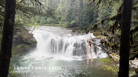 Lower Falls Campground Day Use Area to INCREDIBLE Lower Lewis Falls! | Gifford Pinchot Washington 4K