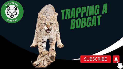 S.2 E.10 Trapping a Bobcat