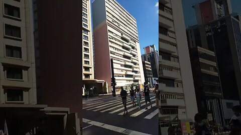 PASSEIO NA AVENIDA PAULISTA