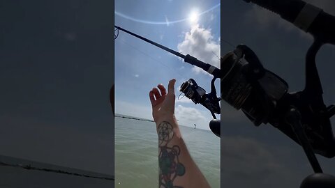 Fishing Big Crabs For Bait on The Jetty For Monster Fish