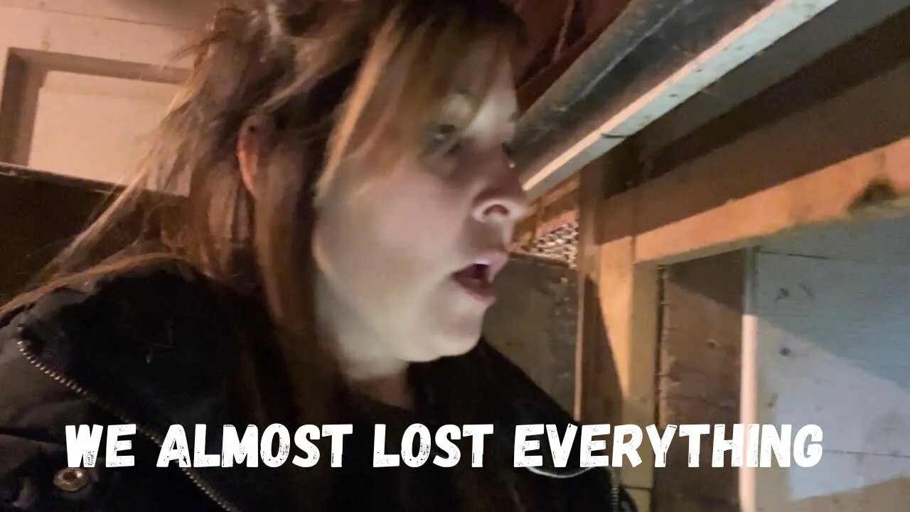 We almost lost everything we had to move them out