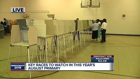 Races to watch in Michigan's August primary