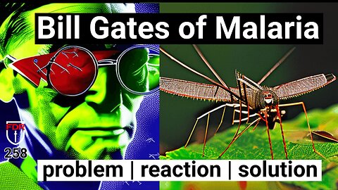 GMO Mosquitos and Malaria, the evidence the next plandemic - Classic Order out of Chaos