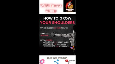 🔥How to grow your shoulders🔥#shorts🔥#viralshorts🔥#fitnessshorts🔥#wildfitnessgroup🔥