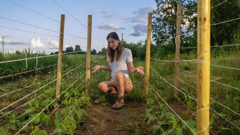 What Happened to our Garden?!