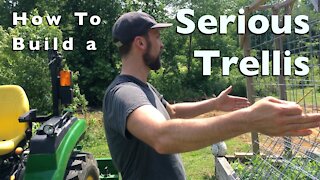 How to Build a Serious Tomato Trellis | Project VLOG