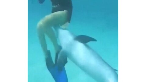 Woman swims with dolphin and quickly finds out