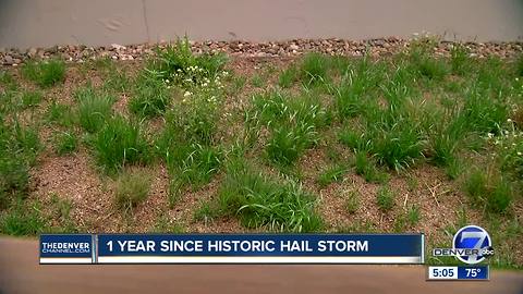 Denver developer found an unseen upside of green roofs during last year's hailstorm